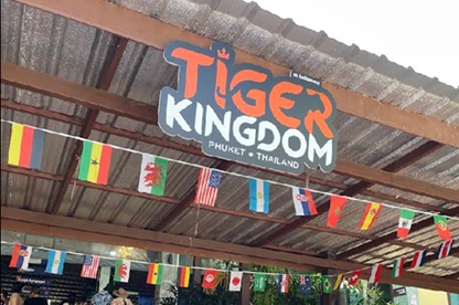 「タイのトラと触れ合える場所４選」徹底ガイド 【旅の大事典】